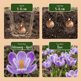 Product afbeelding 4