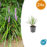 Product afbeelding 7