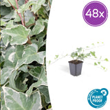 Product afbeelding 9