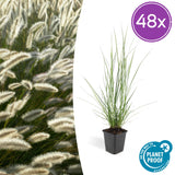 Product afbeelding 9