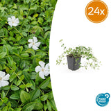 Product afbeelding 7