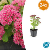 Product afbeelding 8