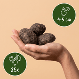 Product afbeelding 3