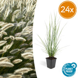 Product afbeelding 8