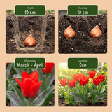 Product afbeelding 4