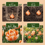 Product afbeelding 4