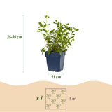 Product afbeelding 3