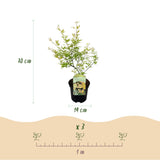 Product afbeelding 4