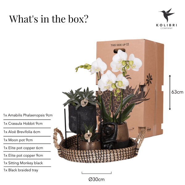 Combi deal - Urban luxe set inclusief sierpotten en accessoire op dienblad