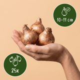 Product afbeelding 3