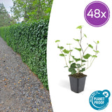 Product afbeelding 8