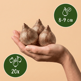 Product afbeelding 3