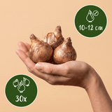 Product afbeelding 3