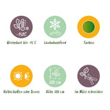 Product afbeelding 5