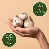 Product afbeelding 3