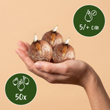 Product afbeelding 3