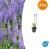 Product afbeelding 8