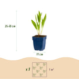 Product afbeelding 5