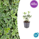 Product afbeelding 8