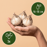 Product afbeelding 3