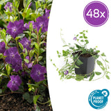 Product afbeelding 7
