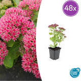 Product afbeelding 9