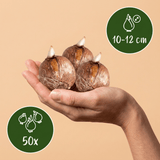 Product afbeelding 3