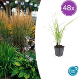 Product afbeelding 9