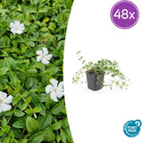 Product afbeelding 8