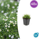 Product afbeelding 9