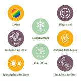 Product afbeelding 6