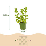 Product afbeelding 5