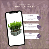 Product afbeelding 9