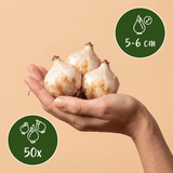 Product afbeelding 3