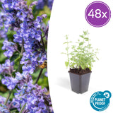 Product afbeelding 9