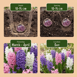 Product afbeelding 4