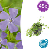 Product afbeelding 8