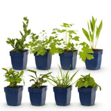Product afbeelding 2