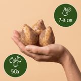 Product afbeelding 3
