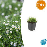 Product afbeelding 8