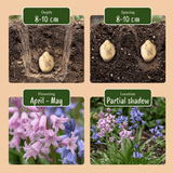 Product afbeelding 4