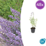Product afbeelding 10