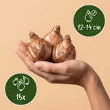 Product afbeelding 3