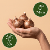 Product afbeelding 3
