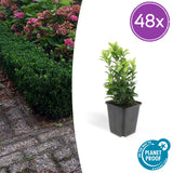 Product afbeelding 9