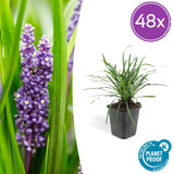 Product afbeelding 9
