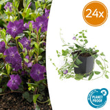 Product afbeelding 6