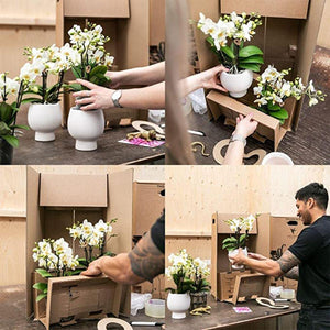 Combi deal - Luxury Living inclusief keramieken sierpotten en accesoires