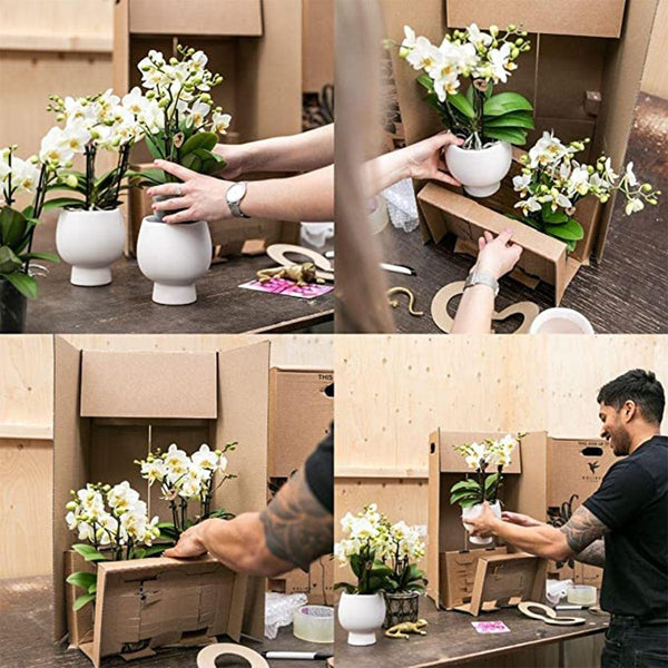 Combi deal - Luxury Living inclusief keramieken sierpotten en accesoires