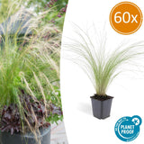 Product afbeelding 1
